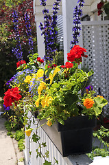 Image showing Flower box