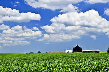 Image showing Rural landscape