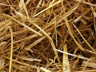 Image showing straw