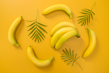 Image showing Bananas and palm leaves on yellow background