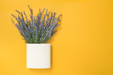 Image showing Blue lavender in square white vase