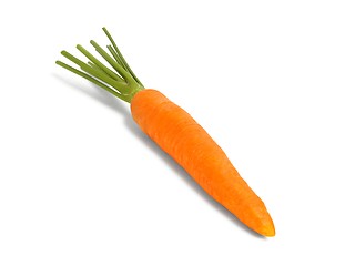 Image showing One Carrot on White Background