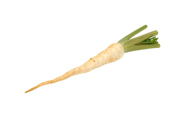 Image showing Parsley on white