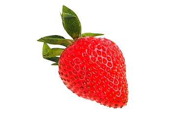 Image showing Strawberry on white