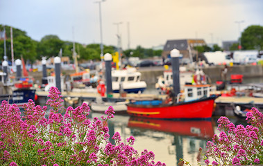 Image showing Howth harbour in Dublin