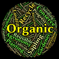 Image showing Organic Word Means Natural Healthy And Nature