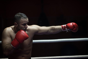 Image showing professional kickboxer in the training ring