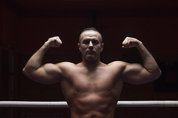 Image showing portrait of muscular professional kickboxer