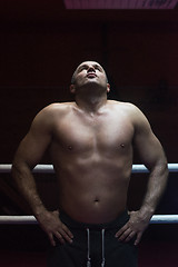 Image showing portrait of muscular professional kickboxer