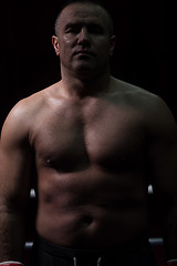 Image showing portrait of muscular professional kickboxer