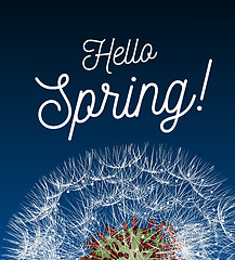 Image showing Text message hello spring, against a background of a spring landscape with a dandelion close-up