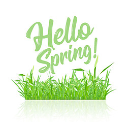 Image showing Text message hello spring, on a background of spring grass on a white background