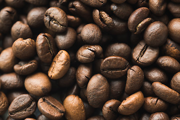 Image showing Surface with coffee beans