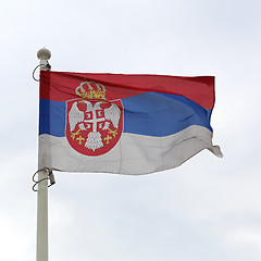 Image showing Serbia Flag