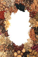 Image showing Chinese Herbal Medicine Border