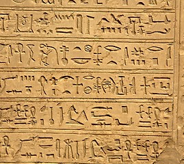 Image showing Ancient Hieroglyphic Script