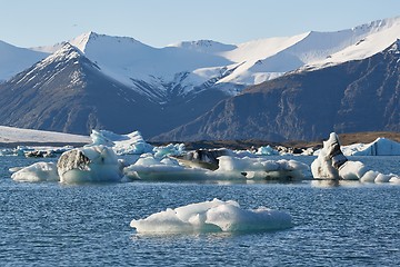 Image showing Glacial lake in Iceland