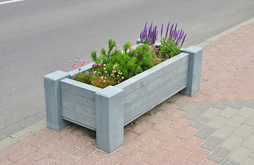 Image showing City flowerbed