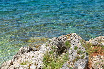 Image showing Rocky beach in Istria, Croatia