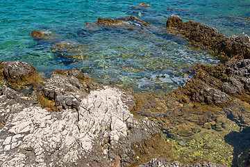 Image showing Rocky beach in Istria, Croatia