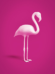 Image showing white flamingo on pink background