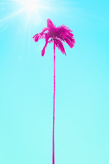 Image showing pink palm tree