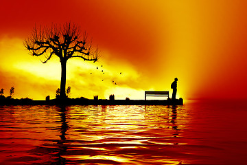 Image showing man at the sunset lake