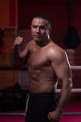 Image showing professional kickboxer in the training ring