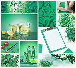 Image showing Trendy color concept. Set with greenery color