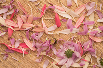 Image showing close up colorful flowers