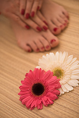 Image showing female feet and hands at spa salon