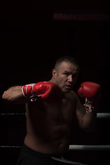 Image showing professional kickboxer in the training ring