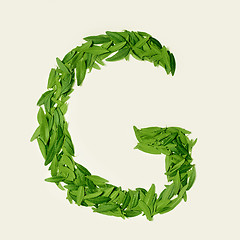 Image showing The green dry tea leaf, letter G on white background, top view