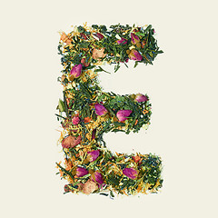 Image showing Tea leaf with flowers and fruits, letter E on white background, top view