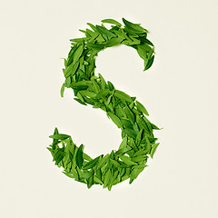 Image showing The green dry tea leaf, letter S on white background, top view