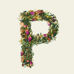 Image showing Tea leaf with flowers and fruits, letter P on white background, top view