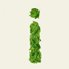 Image showing The green dry tea leaf, letter I on white background, top view