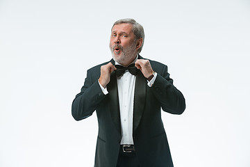 Image showing older businessman in a suit with a bow tie, isolated over white