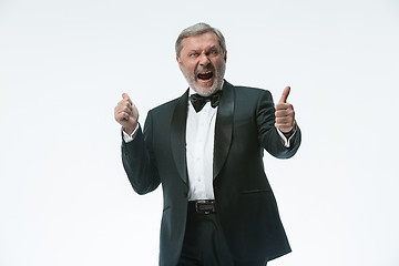 Image showing older businessman in a suit with a bow tie, isolated over white