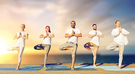 Image showing people doing yoga tree pose on mat outdoors