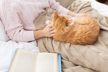 Image showing close up of owner stroking red cat in bed at home