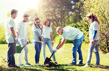 Image showing group of volunteers planting tree in park