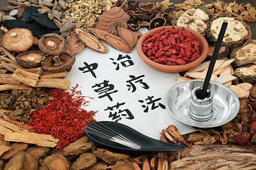 Image showing Chinese Acupuncture and Herbal Therapy