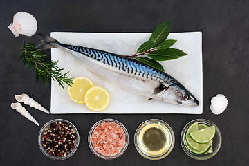 Image showing Mackerel on Crushed Ice