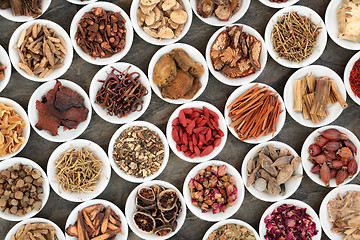 Image showing Traditional Chinese Herbs