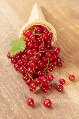 Image showing Red currant fruits in ice cream cone 