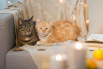 Image showing two cats lying on sofa at home