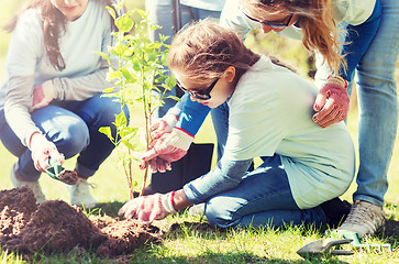 Image showing group of volunteers planting tree in park