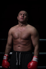 Image showing portrait of muscular professional kickboxer