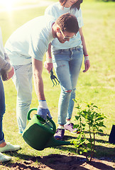 Image showing group of volunteers planting and watering tree